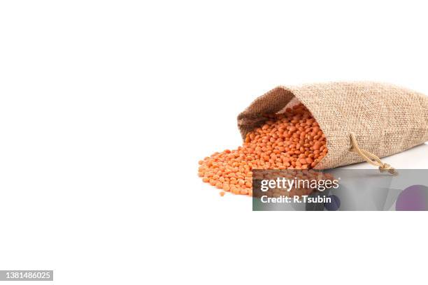orange organic lentils in  isolated on white background - lentil stock-fotos und bilder
