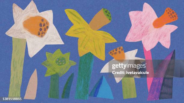 bildbanksillustrationer, clip art samt tecknat material och ikoner med spring flowers - påsklilja