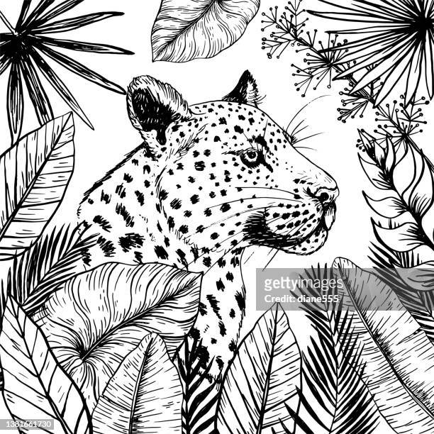 illustrazioni stock, clip art, cartoni animati e icone di tendenza di testa di tigre con inchiostro nero disegnata a mano circondata da foglie su uno sfondo trasparente - ghepardo