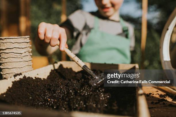 a child uses a tiny rake to disperse seeds through the soil in a wooden seed tray. - compost garden stockfoto's en -beelden