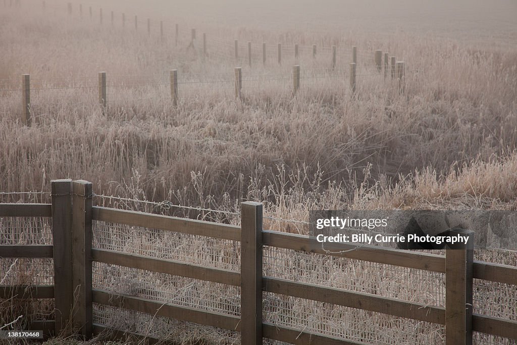 Frosted fences