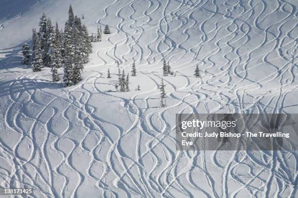 fresh ski tracks - whistler winter stock-fotos und bilder