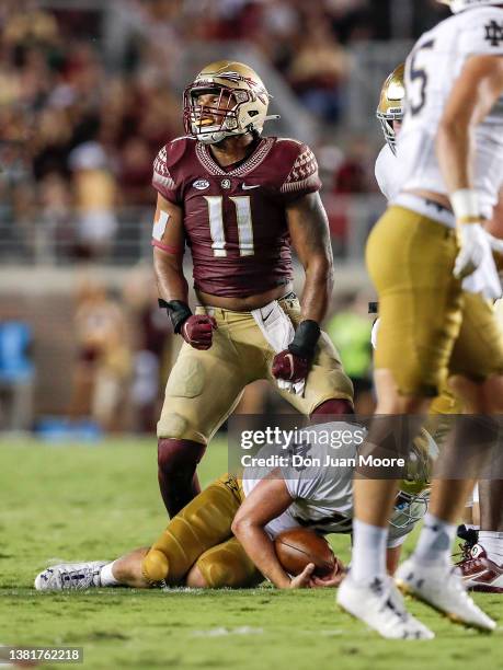 Defensive End Jermaine Johnson II of the Florida State Seminoles celebrates after making a sack on Quarterback Jack Coan of the Notre Dame Fighting...