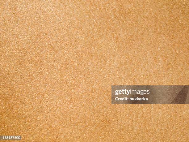 piel humana - textura piel humana fotografías e imágenes de stock