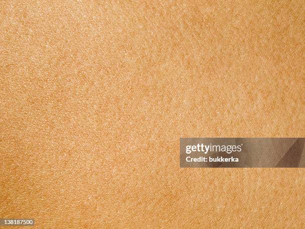 human skin - lederhuid stockfoto's en -beelden