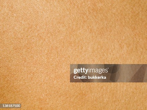 Texture Color Human Human Skin Texture Map
