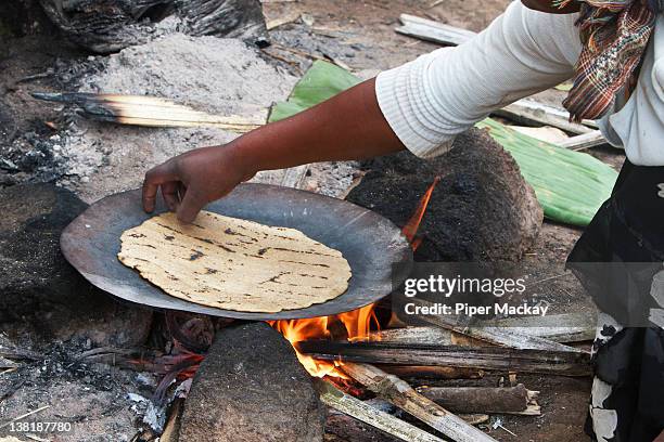 cooking injera - piper mackay stock pictures, royalty-free photos & images