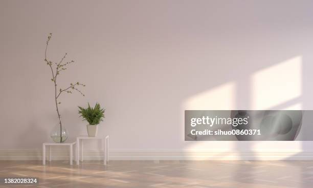 shadow on a white wall - beige background bildbanksfoton och bilder