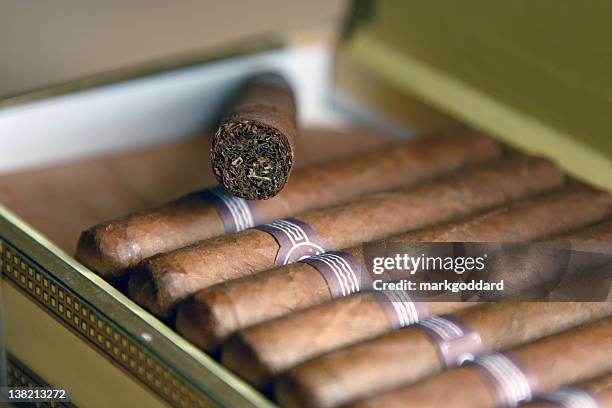 キューバ産葉巻 - cigar ストックフォトと画像