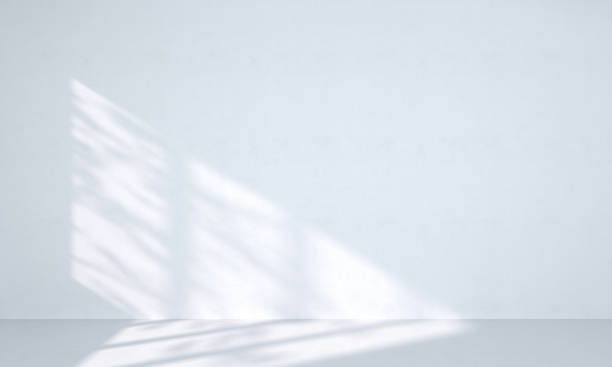 Clean Shadow 275,920 Clean White Photography Stock Photos, High-Res Pictures, and ...