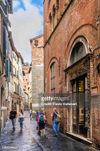 lucca, via sant'andrea & torre guinigi (tuscany, italy) - lucca italy stock pictures, royalty-free photos & images