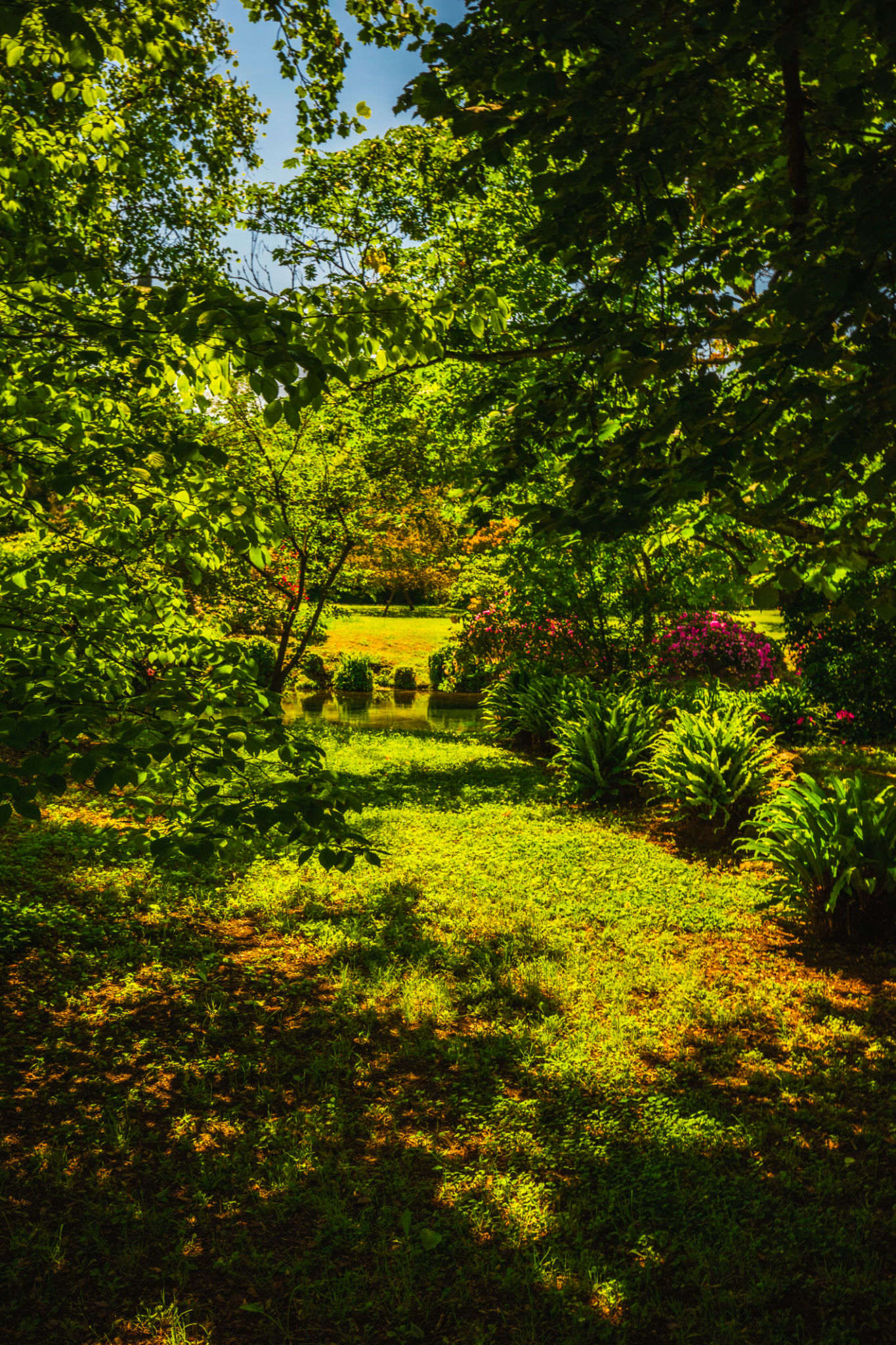 jardin ombragé