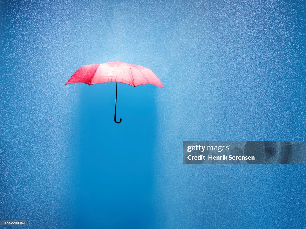 Umbrella in a rain shower