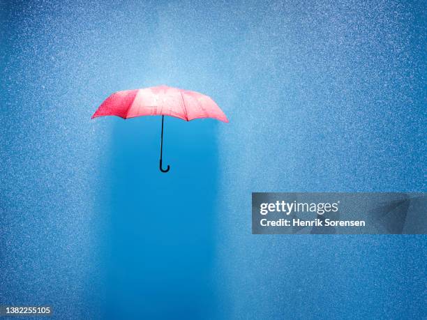 umbrella in a rain shower - shielding 個照片及圖片檔