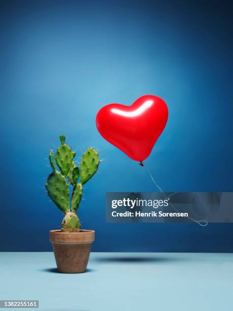 heart shaped balloon and cactus - relationship difficulties stock pictures, royalty-free photos & images