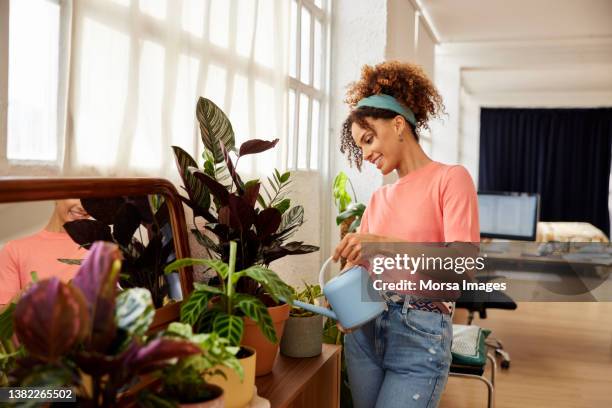 smiling woman watering houseplants at home - watering stock pictures, royalty-free photos & images