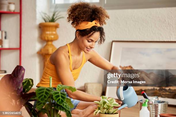 woman watering potted plant while sitting at home - serre tête photos et images de collection