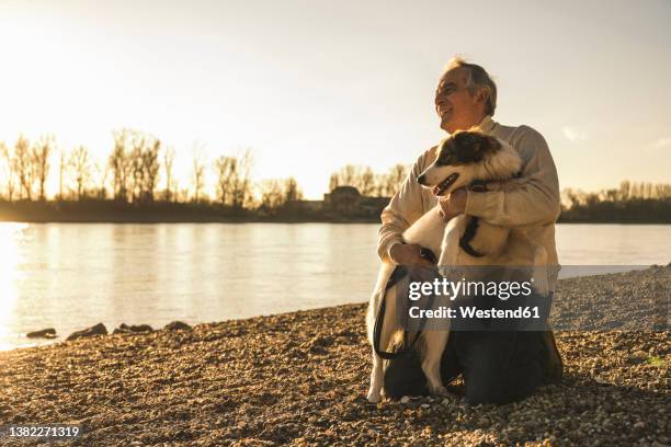 smiling man with pet dog at beach on sunset - ausrüstung für tiere stock-fotos und bilder