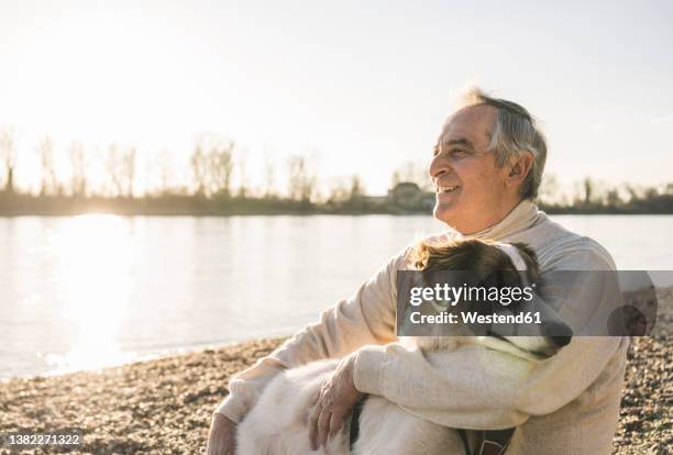 smiling senior man with pet dog at beach on sunny day - man looking at foreground stock pictures, royalty-free photos & images
