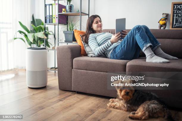 young woman adjusting a home air purifier. - air purifier stock pictures, royalty-free photos & images