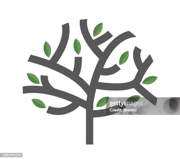 tree vector icon - oak tree logo stock illustrations