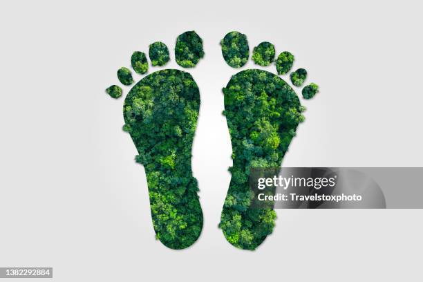 living environmentally conscious, environmental footprint, carbon footprint, ecological footprint - huella fotografías e imágenes de stock