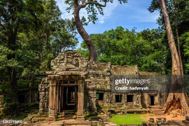 templo ta prohm cerca de angkor wat, camboya - angkor thom fotografías e imágenes de stock