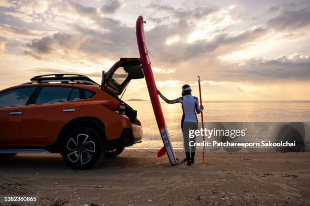 paddle boarding - surf dog competition stock pictures, royalty-free photos & images