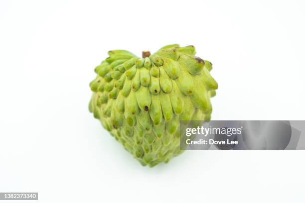 custard apple - cherimoya stock-fotos und bilder