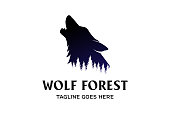 Vintage Retro Howling Wolf Silhouette with Pine Cedar Evergreen Fir Trees Forest symbol Design Vector