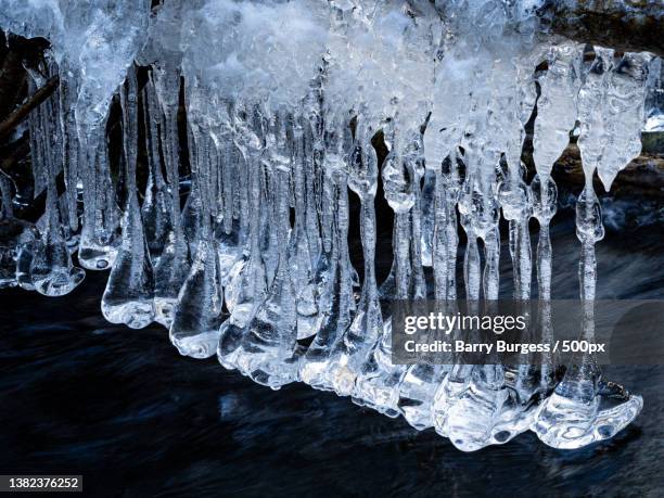 Iceies 31 Sackville New Brunswick Stock Photos, High-Res Pictures, and Images ...