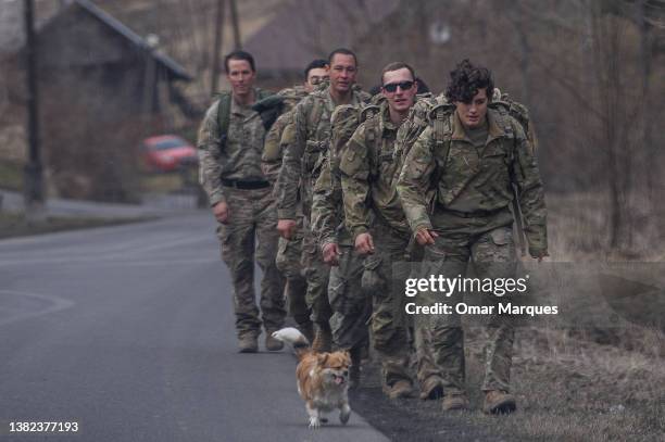 Army soldiers assigned to the 82nd Airborne walk by a village together with a local dog as they head back to the Arlamow Airport on , 2022 in Wola...