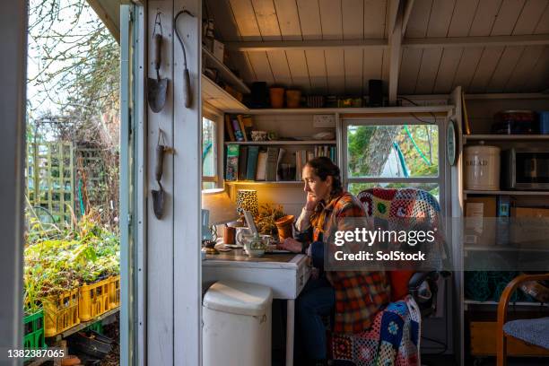 working in the summer house - shed stockfoto's en -beelden