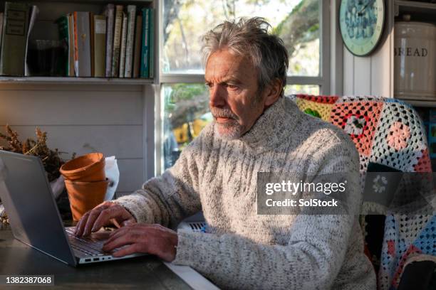 working from the home office - man shed stock pictures, royalty-free photos & images