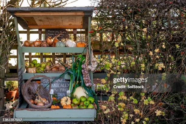 bancarella di verdure biologiche - winter vegetables foto e immagini stock