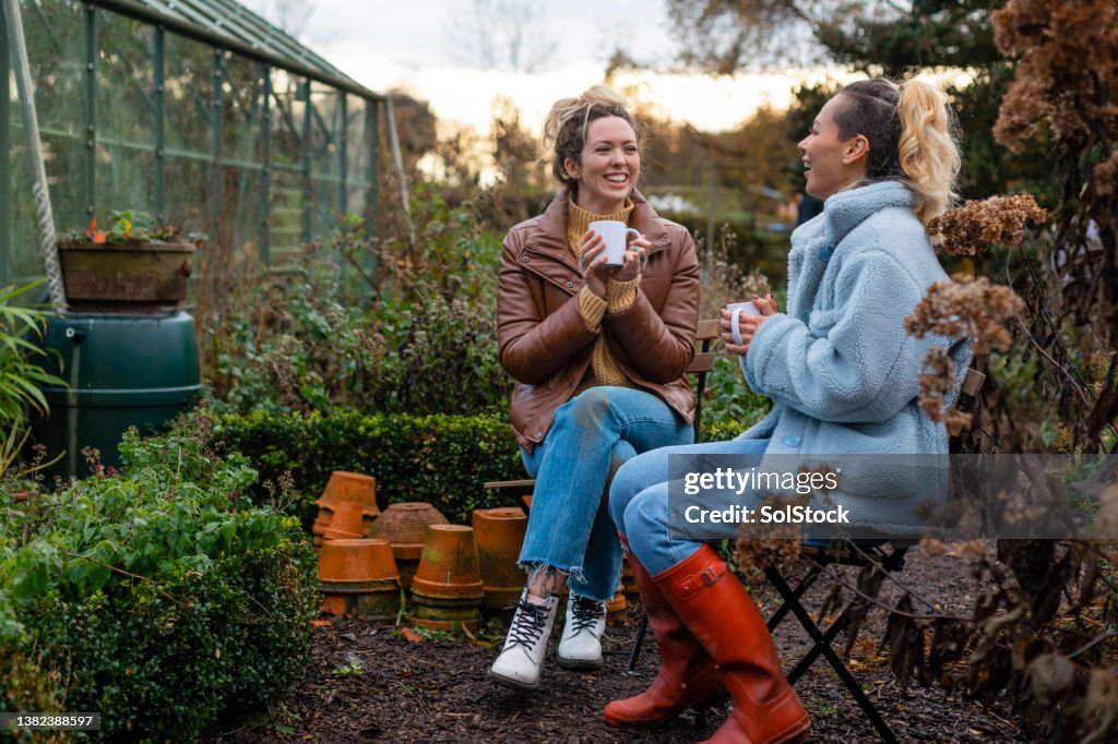 Voluntários conversando juntos