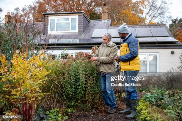 discussing nettles in the garden - toxic friendship stock pictures, royalty-free photos & images