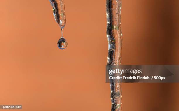 close-up of water drops on orange - icicle macro stock pictures, royalty-free photos & images