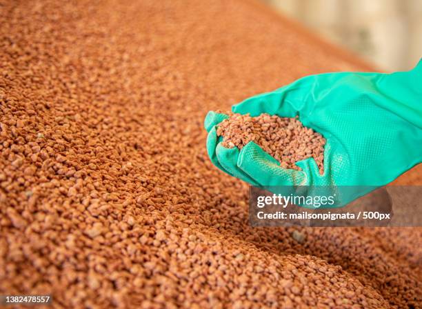detail potassium fertilizer grain with selective focus - nitrogen stock pictures, royalty-free photos & images