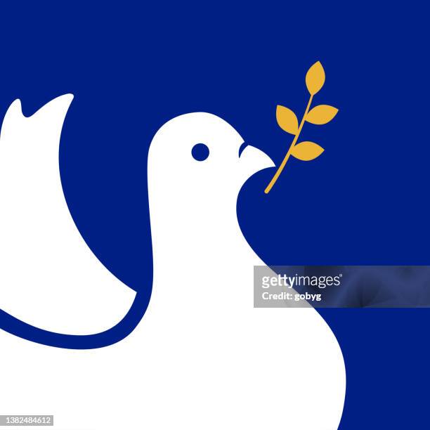 peace dove - white pigeon stock-grafiken, -clipart, -cartoons und -symbole