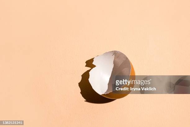 beige brown easter egg shells on beige  color background. - hard boiled eggs stock-fotos und bilder