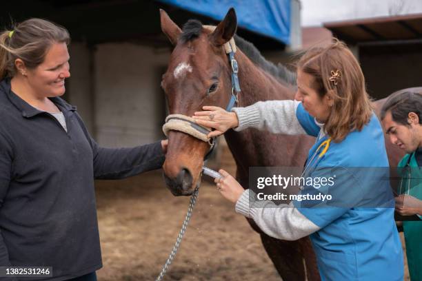 veterinarian discussion with horse owner and giving worm medicine with syringe - parasitic stock pictures, royalty-free photos & images