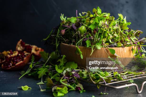 bowl of mixed salad leaves on a cooling rack with pomegranate - grönsallad bildbanksfoton och bilder