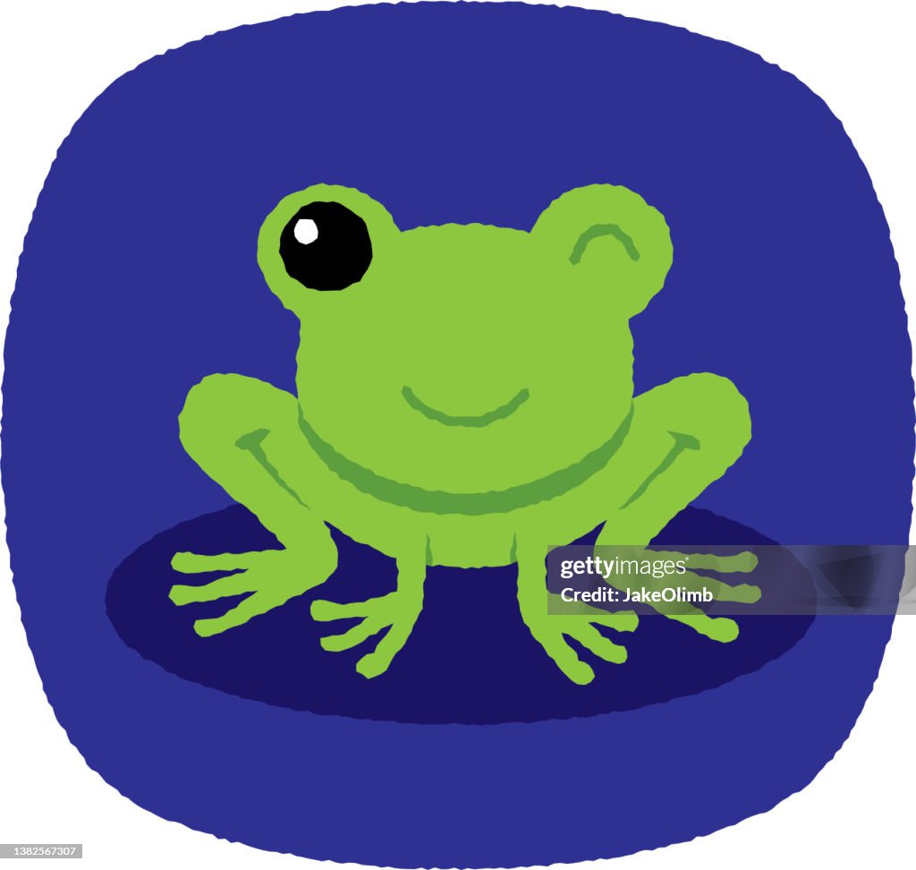 Lindo Garabato de rana 4