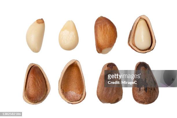 shelled and whole unshelled pine nuts collection set on white - pijnboompit stockfoto's en -beelden