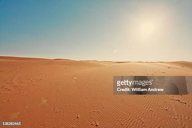 sahara desert at sunset - woestijn stockfoto's en -beelden
