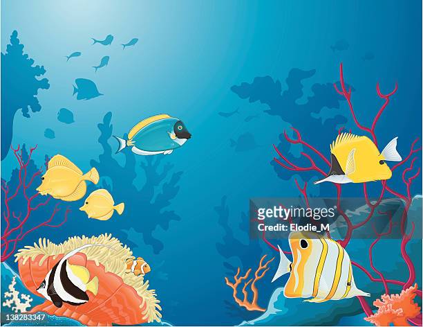 into the sea / la mer - butterflyfish stock illustrations