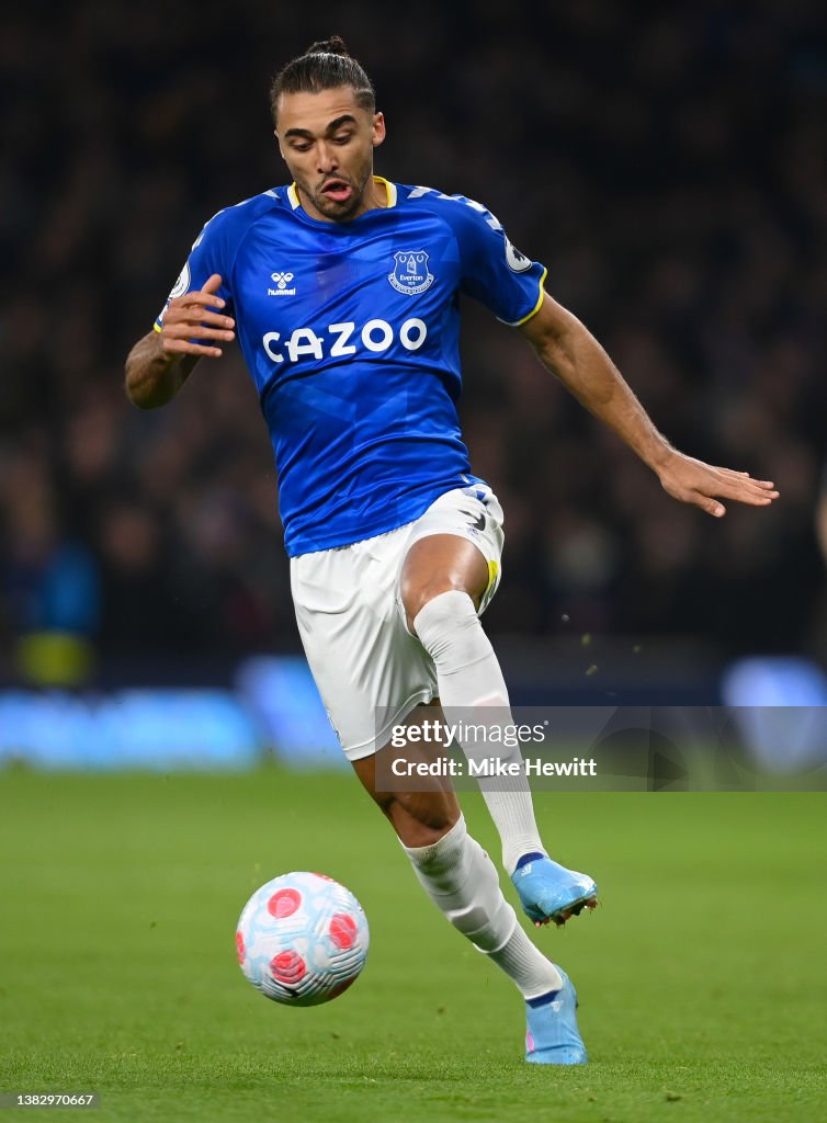 Tottenham Hotspur v Everton - Premier League