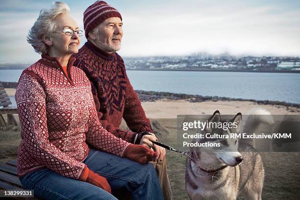 older couple walking dog on beach - reykjavik women stock pictures, royalty-free photos & images