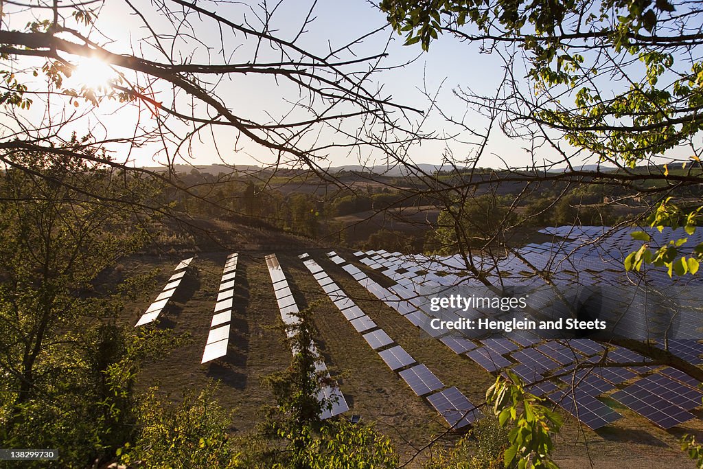 Aerial view of field of solar panels
